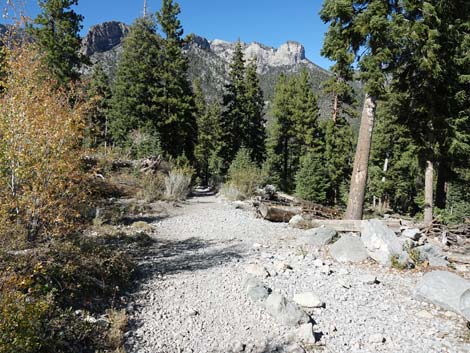 Cathedral Rock Trail