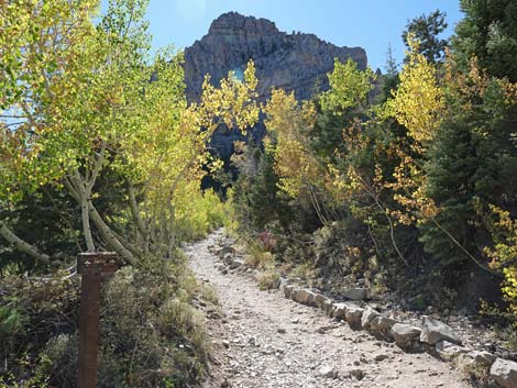 Cathedral Rock Trail