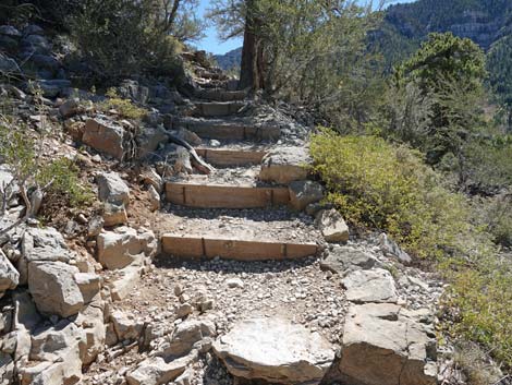 Cathedral Rock Trail