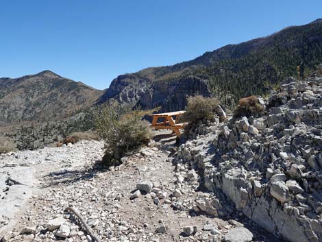 Cathedral Rock Trail