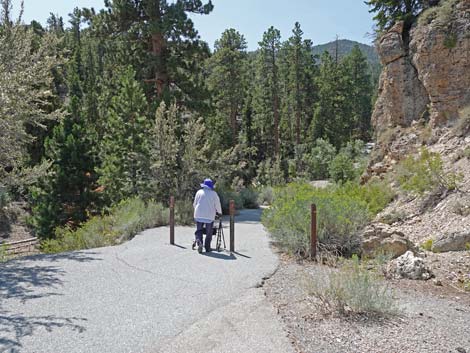 Deer Creek Trail