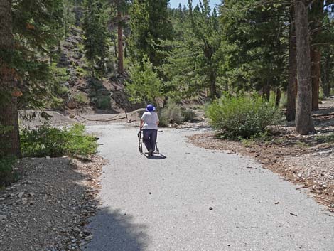 Deer Creek Trail