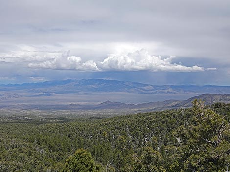 Desert View Overlook Trail