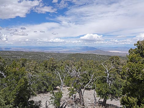 Desert View Overlook Trail