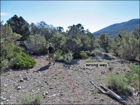 Eagle's Nest Loop Trail