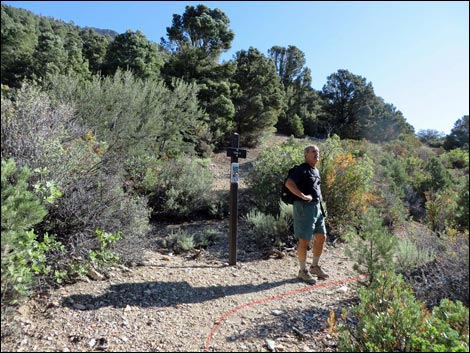 Eagle's Nest Loop Trail