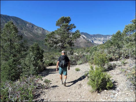 Eagle's Nest Loop Trail