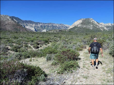 Eagle's Nest Loop Trail