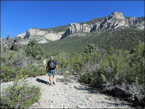 Eagle's Nest Loop Trail