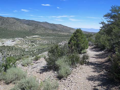 Escarpment Trail