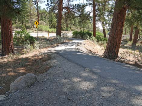 Fletcher Canyon Trail