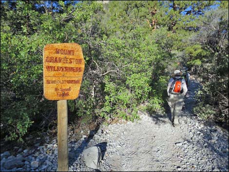 Fletcher Canyon Trail