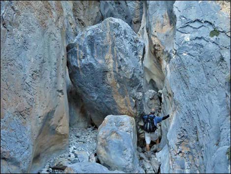 Fletcher Canyon Trail