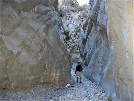 Fletcher Canyon Trail