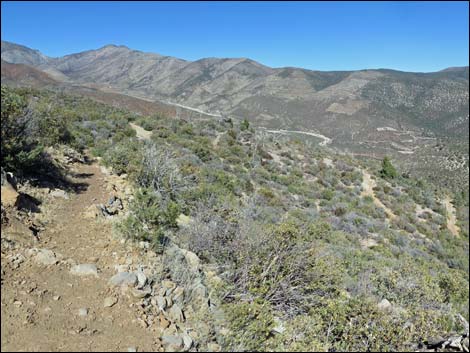 Griffith Shadow South Trail