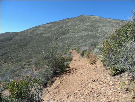 Griffith Shadow South Trail