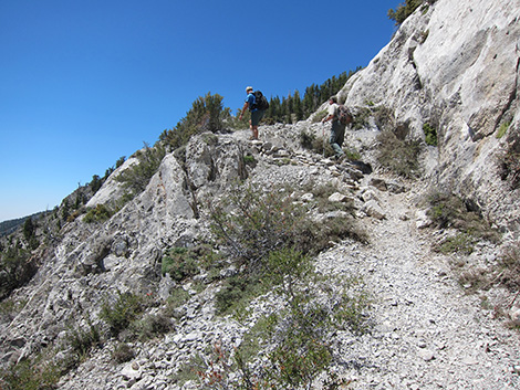 Griffith Peak Trail