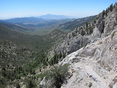 Griffith Peak Trail