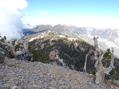 Griffith Peak