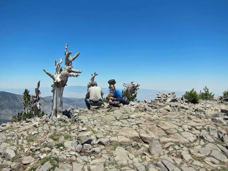 Griffith Peak Trail