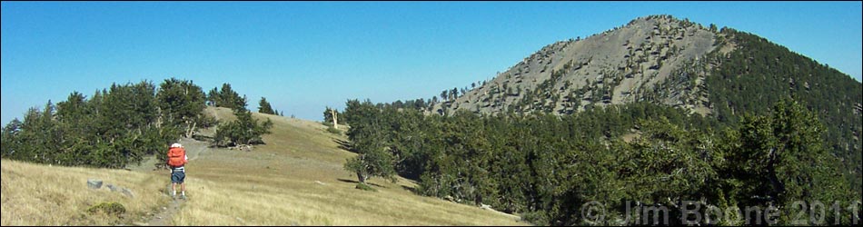 Griffith Peak Trail