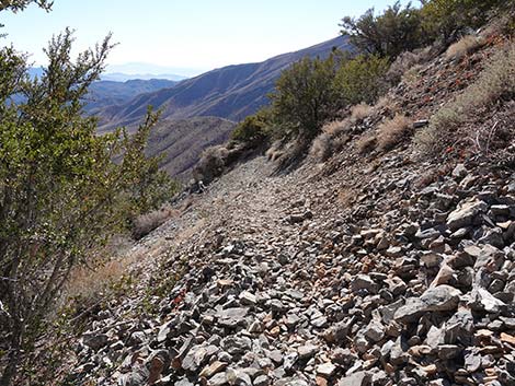 Harris Saddle Trail