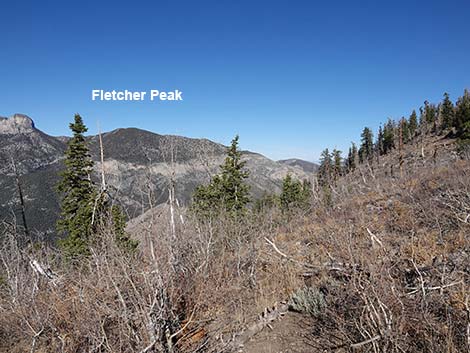 Harris Saddle Trail