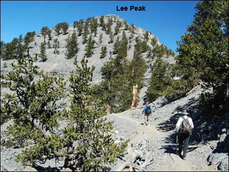 Lee Peak