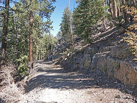 Cathedral Rock Trail