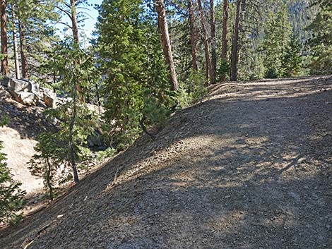 Cathedral Rock Trail