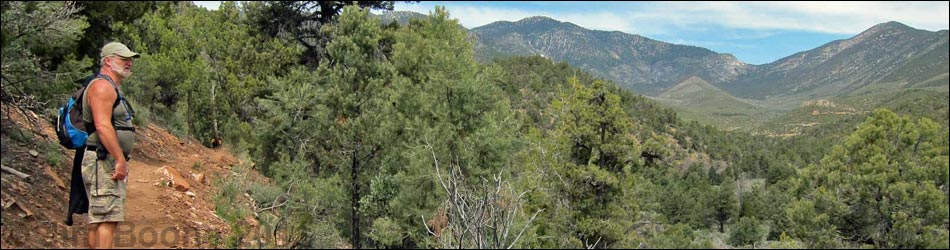 Lovell Canyon Trail