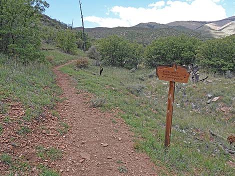 Lovell Canyon Trail