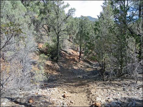 Lovell Canyon Trail