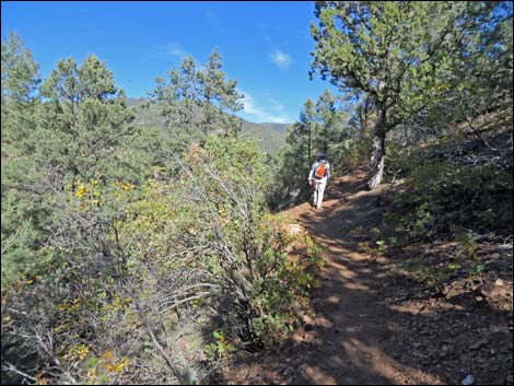 Lovell Canyon Trail