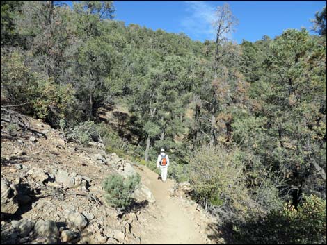 Lovell Canyon Trail