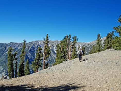 North Loop Trail -- North Ridge