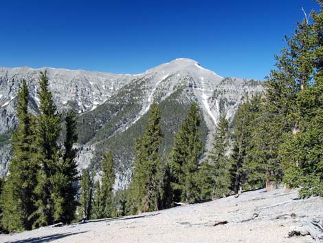 North Loop Trail -- North Ridge