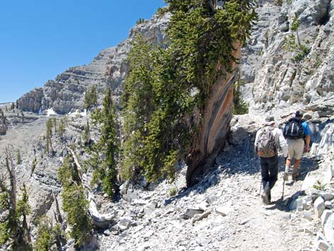 Mt Charleston, East Face