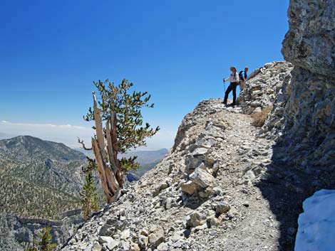 Mt Charleston, East Face