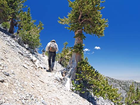 Mt Charleston, East Face