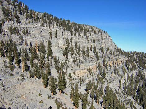 Mt Charleston, East Face