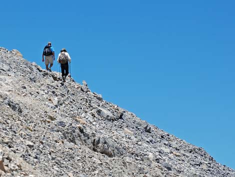 Mt Charleston, East Face