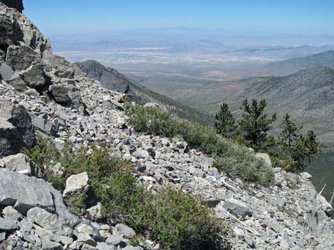 Mt Charleston, East Face