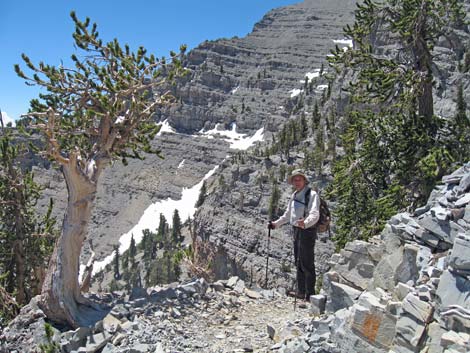 Mt Charleston, East Face