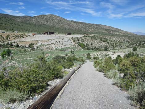 Escarpment Trail