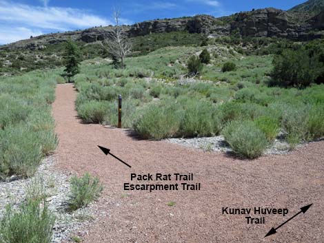 Escarpment Trail