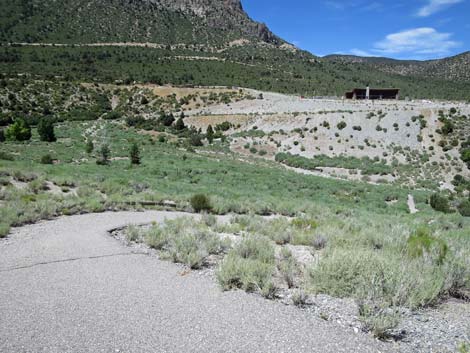 Escarpment Trail