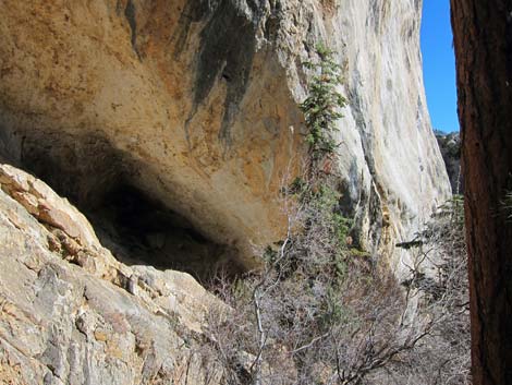 Robbers Roost Trail