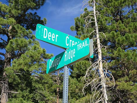 Deer Creek Road