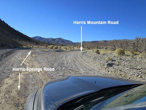 Harris Springs Road